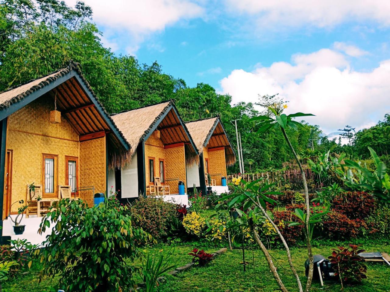 Aryasuta Bungalow Tetebatu Extérieur photo